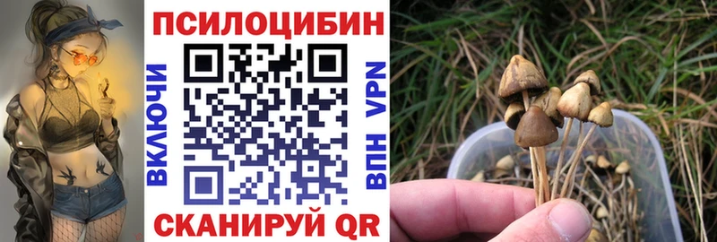 MEGA онион  Куса  Псилоцибиновые грибы Psilocybe 